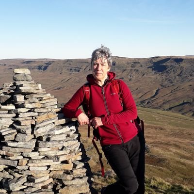 Consultant and trainer for EAL, language and literacy within the curriculum. Singer, walker and lover of northern fells. Views expressed are my own