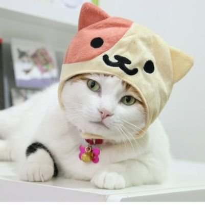 BabeG_M_B's profile picture. Sweetheart