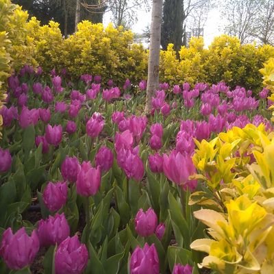 HseyinE70416470's profile picture. 