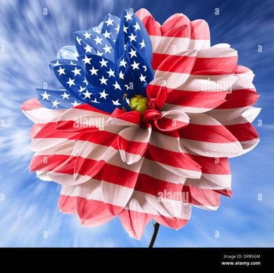 Kaylemiller6's profile picture. Need more Patriots follower🍊🍊🍊🍊 up to 5k