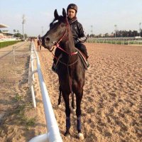 Ali ÇIKMAN (@cikman_ali) 's Twitter Profile