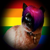 Zwiebelzilli 🤘 (@zwiebelzilli) 's Twitter Profile