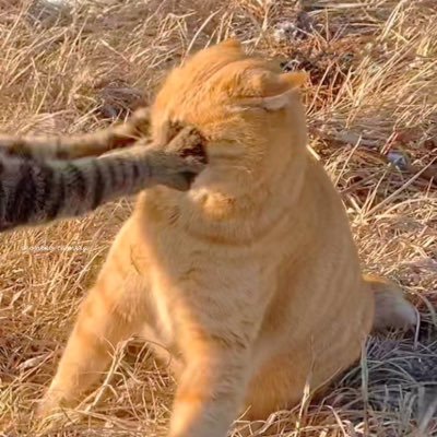 helloitsme1107's profile picture. ไม่คาดหวัง ยังผิดหวัง