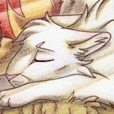 Diane Sheaさんのプロフィール画像