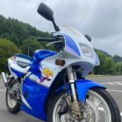 バイク好きだけどまだまだ初心者です🔰皆様生暖かい目で見守ってください　XVS1300CUとrg125γに乗ってます  #バイク