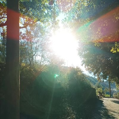 maria_ratto's profile picture. 