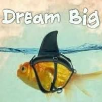 SilvaDa13657450's profile picture. 