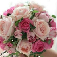Persian Gulf (@mahdi68439489) 's Twitter Profile
