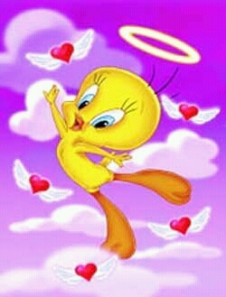 HIDROKALIDA!!!!!, simplemente amigable . tengo q decir q me matan los chocolates y la música. NO BUSCO SEXO....