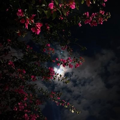 Athartranslate's profile picture. Athar-2017@hotmail.com