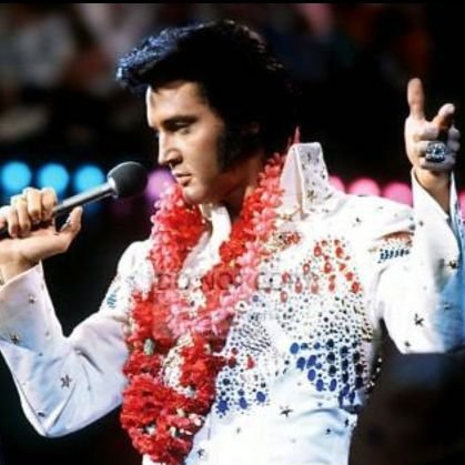 Elvis Presley. I am a huge Elvis Presley Fan 💖🎶🎵🎶🎸🎤🎧💖. Man Utd. F1. touring car. rally.