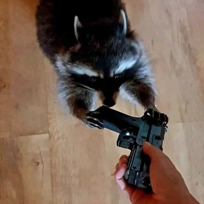 noob_landon56's profile picture. Hello