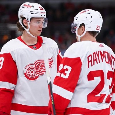 AndRedwings's profile picture. Redwings Fan Since ‘94, life long Orioles fan. #HTTC
#birdland
#Ravensflock
#GoGRG
#LGRW
#91Fedorov Lifer!