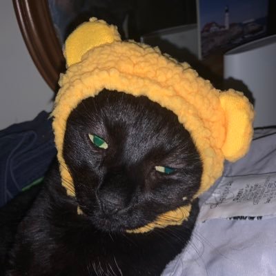 timelessanim3's profile picture. hey hey hey!!