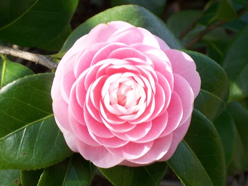 FGarner259's profile picture. 