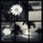 Lau_dc's profile image
