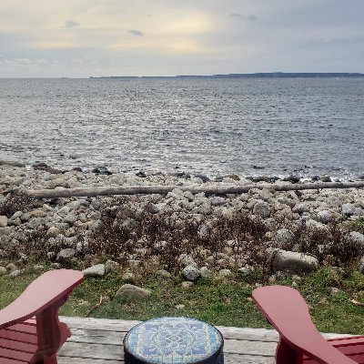 lively_brave's profile picture. Relax vibe