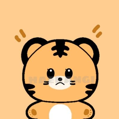 호랑이 🐯 Haerangi Donghae 10cm doll 💙