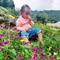 Ali Ahmed (@aliahme60091704) Twitter profile photo