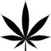 Lesser-Known Effects of THC (@rarethceffects) Twitter profile photo Lesser-Known Effects of THC (@rarethceffects) Twitter profile photo