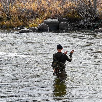 Entrepreneur, writer, fly fisher, outdoorsman, BJJ addict, political professional.