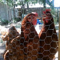 Secrecy Kills (@secrecykills) 's Twitter Profile