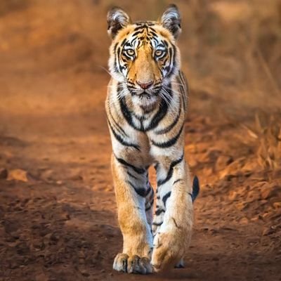 what_s_your_'s profile picture. 