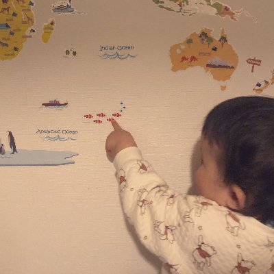 Developmental Scientist 🚼 | Preterm birth | Crying & Sleep | Vocal learning | Curiosity | Dad of 3🧒🏻| Mountain 🏕️🏔️