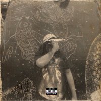 XoCh1pilli (@flavebfmg) 's Twitter Profile