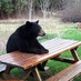 BeardedBearMan (@beardedbearman) Twitter profile photo BeardedBearMan (@beardedbearman) Twitter profile photo