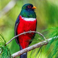 I M B O 🇰🇪 (@bryo_imbo) 's Twitter Profile