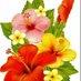 Dabbu Jain (@dabbujain2) Twitter profile photo Dabbu Jain (@dabbujain2) Twitter profile photo
