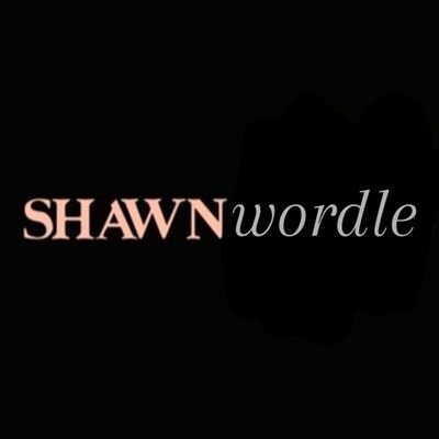 daily shawn mendes wordle account