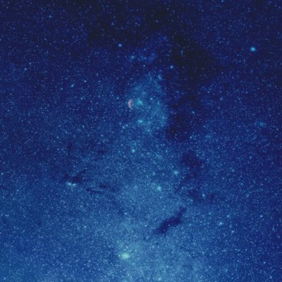 Blue_check 🍉🔻 Profile
