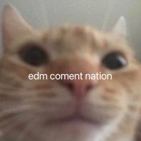 edm comments (@commentsedm) 's Twitter Profile Photo