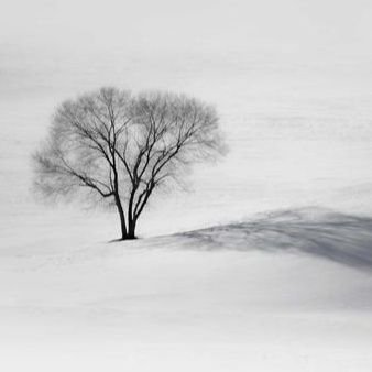 lijun77187's profile picture. 