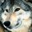 unchained1's profile image