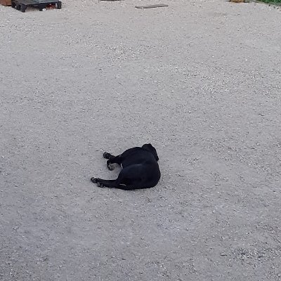 Johan83Johan's profile picture. j'aime le rugby, le trading et la nature