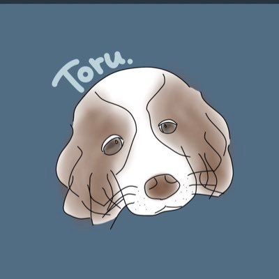 ﾄｵﾙ🐾*さんのプロフィール画像