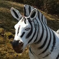 M.WATANAVY (@misswata) 's Twitter Profile