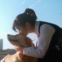 Raichan (@dsvrdxsu47dpb7y) 's Twitter Profile