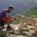 Albert Colomer (@colo2711) Twitter profile photo Albert Colomer (@colo2711) Twitter profile photo