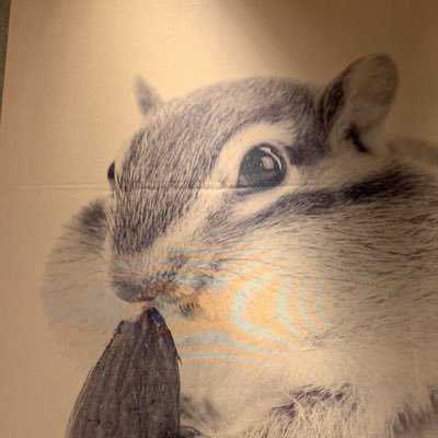 飲食店、物販店を営みながら大家をしております。金沢を中心に現在戸建て15戸.アパート2棟.店舗物件1棟を運営しております。不動産業は、ほぼ自己流の弱小大家です。シロウトDIYなら色々アドバイスできますが、金融関係はからっきしです。