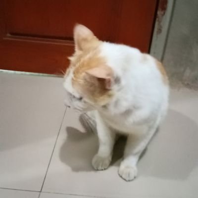 Sekedar hiburan fantasi