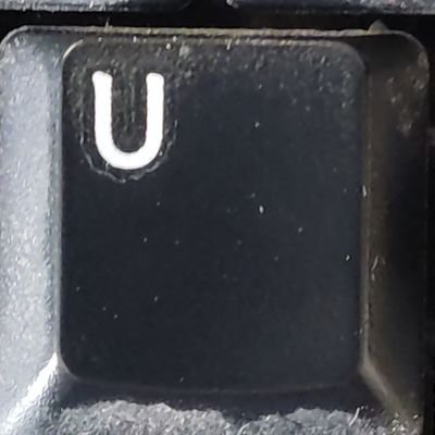 OriolSala1's profile picture. u r i