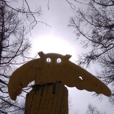 SalmonSacred's profile picture. 