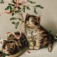 伊勢村朱音(澄田こころ) (@isemura2022) Twitter profile photo