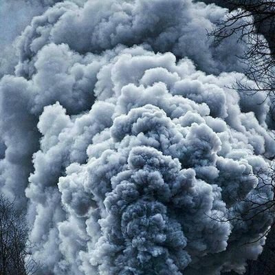 mim_oye's profile picture. 