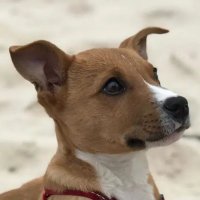 JJ (@jb870727) 's Twitter Profile