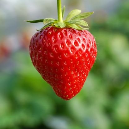 denier40dayo's profile picture. 只のドエロ♂。
お尻の丸みやフトモモ、痛い位に勃起するチクちゃんクリちゃんが大好き…